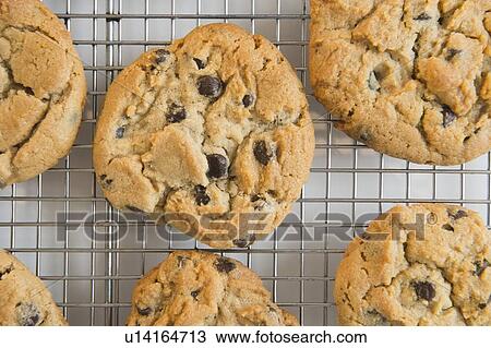 Studio shot of chocolate chip cookies View Large Photo Image Stock Image - Studio shot of chocolate chip cookies. Fotosearch