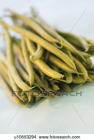 Picture - Studio shot of french green beans. Fotosearch