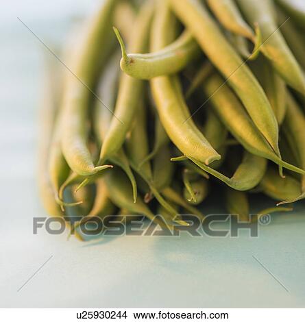 Picture - Studio shot of french green beans. Fotosearch