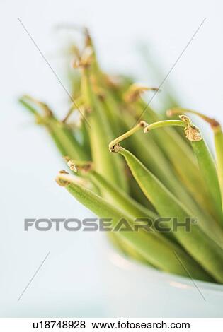 Studio shot of french green beans View Large Photo Image Stock Photo - Studio shot of french green beans. Fotosearch