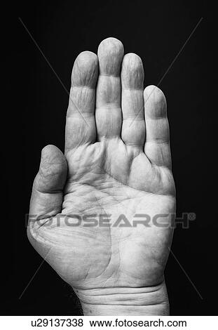 Studio shot of hand View Large Photo Image Stock Photo - Studio shot of hand. Fotosearch