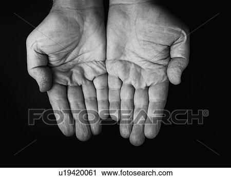 Stock Image - Studio shot of open hands. Fotosearch