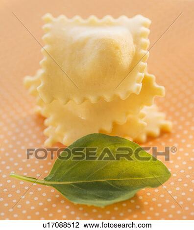 Studio Shot of ravioli and basil leaf View Large Photo Image Stock Image - Studio Shot of ravioli and basil leaf. Fotosearch