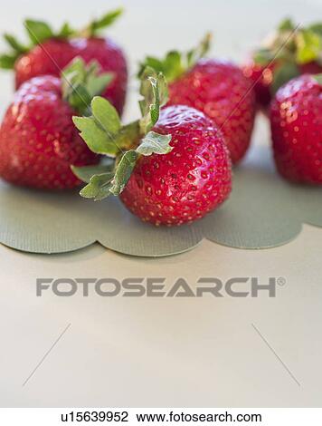 Studio shot of strawberries View Large Photo Image Stock Image - Studio shot of strawberries. Fotosearch