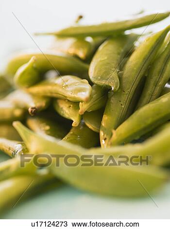 Studio Shot of Sugar Snap Peas View Large Photo Image Stock Image - Studio Shot of Sugar Snap Peas. Fotosearch