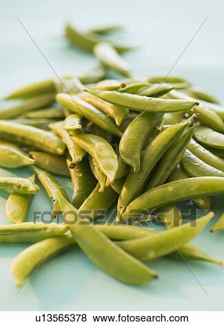 Studio Shot of Sugar Snap Peas View Large Photo Image Stock Photo - Studio Shot of Sugar Snap Peas. Fotosearch
