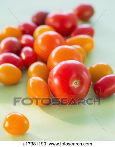 Studio Shot of tomatoes View Large Photo Image Stock Image - Studio Shot of tomatoes. Fotosearch
