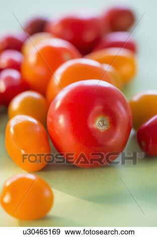 Stock Photo - Studio Shot of tomatoes. Fotosearch