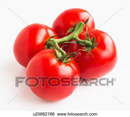Stock Photograph - Tomatoes on white background, studio shot. Fotosearch