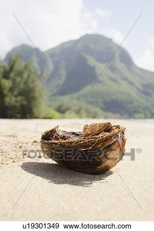 Stock Photo - Tunnels Beach, Coastline. Fotosearch