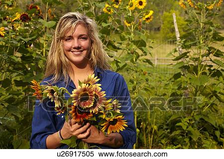 Woman holding bouquet of sunflowers View Large Photo Image Stock Photography - Woman holding bouquet of sunflowers. Fotosearch