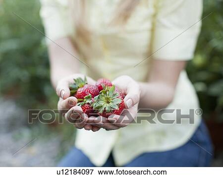 Woman holding strawberries View Large Photo Image Stock Photo - Woman holding strawberries. Fotosearch