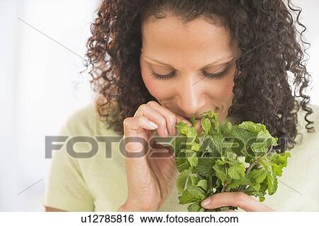 Woman smelling fresh mint View Large Photo Image Stock Photograph - Woman smelling fresh mint. Fotosearch
