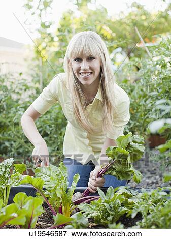 Woman working in garden View Large Photo Image Stock Photo - Woman working in garden. Fotosearch