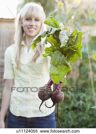 Woman working in garden View Large Photo Image Stock Photography - Woman working in garden. Fotosearch