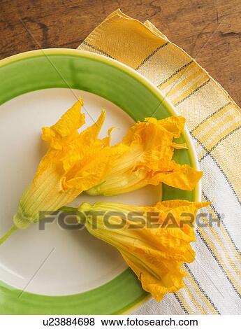 Stock Photo - Zucchini blossoms on plate, studio shot. Fotosearch