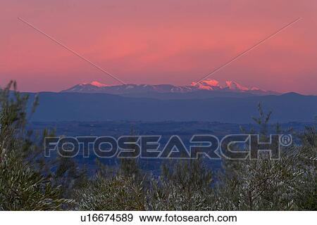 Alpenglow and glorious pink sky on snow capped Sibillini mountains with Tiber valley and olive trees in foreground, Umbria, Italy View Large Photo Image Stock Photo - Alpenglow and glorious pink sky on snow capped Sibillini mountains with Tiber valley and olive trees in foreground, Umbria, Italy. Fotosearch