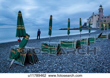 Stock Image - Camogli beach at dusk: closed yellow and green deck-chairs and umbrellas in a row, with church tower and buildings, beach and calm seas beyond, man standing at water's edge gazing to sea, Camogli, Liguria, Italy. Fotosearch