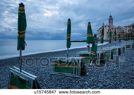 Camogli beach at dusk: closed yellow and green deck-chairs and umbrellas in a row, with church tower and buildings, beach and calm seas beyond, Camogli, Liguria, Italy View Large Photo Image Stock Photo - Camogli beach at dusk: closed yellow and green deck-chairs and umbrellas in a row, with church tower and buildings, beach and calm seas beyond, Camogli, Liguria, Italy. Fotosearch