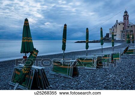 Camogli beach at dusk: closed yellow and green deck-chairs and umbrellas in a row, with church tower and buildings, beach and calm seas beyond, Camogli, Liguria, Italy View Large Photo Image Stock Photography - Camogli beach at dusk: closed yellow and green deck-chairs and umbrellas in a row, with church tower and buildings, beach and calm seas beyond, Camogli, Liguria, Italy. Fotosearch