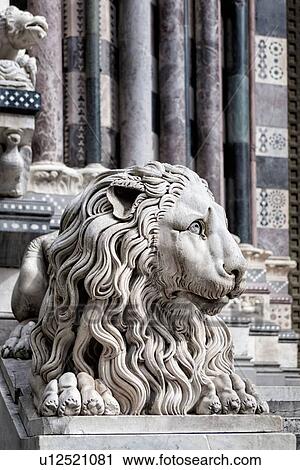 Genoa Centro Storico: Duomo of San Lorenzo, detail of marble carved lion frontal view, columns of facade behind, Genova, Italy View Large Photo Image Stock Image - Genoa Centro Storico: Duomo of San Lorenzo, detail of marble carved lion frontal view, columns of facade behind, Genova, Italy. Fotosearch