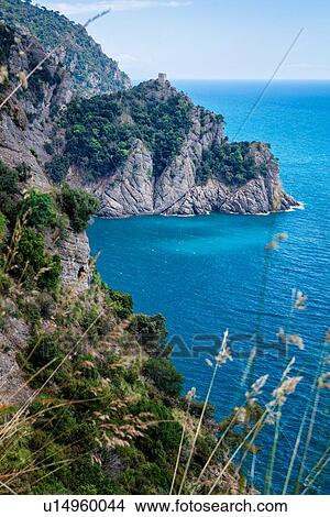Scenic view of coastline on path between San Fruttuoso and Camogli on beautiful spring morning, Liguria, Italy View Large Photo Image Picture - Scenic view of coastline on path between San Fruttuoso and Camogli on beautiful spring morning, Liguria, Italy. Fotosearch