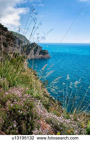 Scenic view of coastline on path between San Fruttuoso and Camogli on beautiful spring morning, Liguria, Italy View Large Photo Image Stock Image - Scenic view of coastline on path between San Fruttuoso and Camogli on beautiful spring morning, Liguria, Italy. Fotosearch