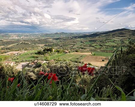 Sunny afternoon view of Todi hilltop town in Tiber Valley with dramatic cloud formation, foreground wild poppies, MonteCastello di Vibio, Umbria, Italy View Large Photo Image Stock Photo - Sunny afternoon view of Todi hilltop town in Tiber Valley with dramatic cloud formation, foreground wild poppies, MonteCastello di Vibio, Umbria, Italy. Fotosearch