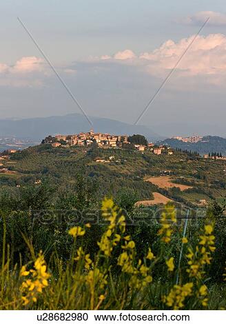 View of medieval hilltop town of MonteCastello di Vibio, with Todi in distance, late afternoon light and billowing cumulus clouds, yellow flowering broom in foreground, Umbria, Italy View Large Photo Image Stock Image - View of medieval hilltop town of MonteCastello di Vibio, with Todi in distance, late afternoon light and billowing cumulus clouds, yellow flowering broom in foreground, Umbria, Italy. Fotosearch