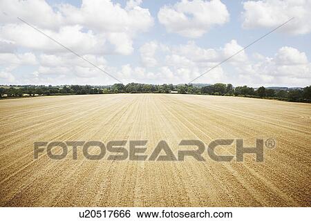 Stock Photograph - Aerial view in tilled crop field. Fotosearch