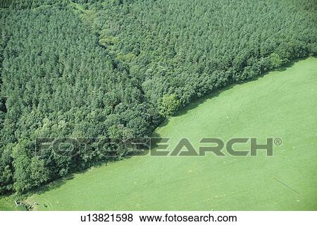 Aerial view of forest and rural field View Large Photo Image Stock Photo - Aerial view of forest and rural field. Fotosearch