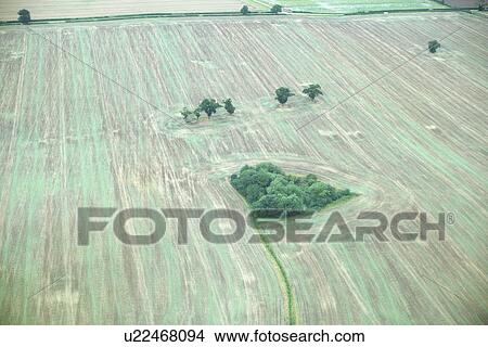 Aerial view of tilled field with trees View Large Photo Image Picture - Aerial view of tilled field with trees. Fotosearch