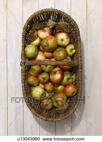 Basket of apples on wooden table View Large Photo Image Stock Image - Basket of apples on wooden table. Fotosearch