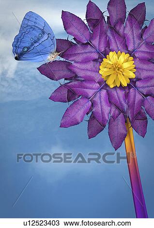 Close up of butterfly landing on flower View Large Photo Image Stock Image - Close up of butterfly landing on flower. Fotosearch