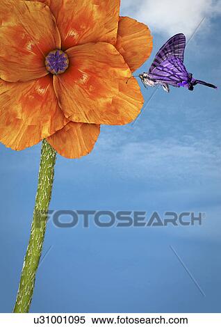 Stock Photography - Close up of butterfly landing on flower. Fotosearch