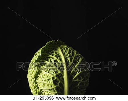 Stock Photograph - Close up of head of cabbage. Fotosearch