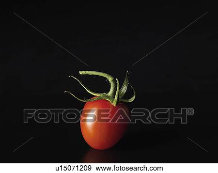 Close up of tomato View Large Photo Image Stock Photo - Close up of tomato. Fotosearch