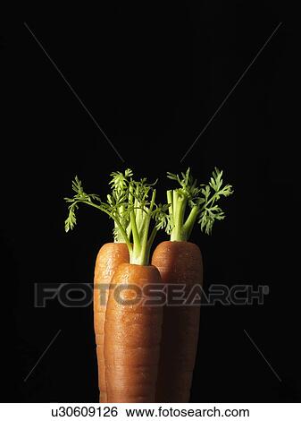Stock Photograph - Close up of trimmed carrots. Fotosearch