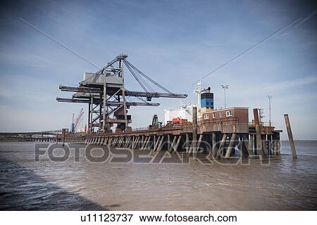 Cranes on wooden pier View Large Photo Image Stock Photo - Cranes on wooden pier. Fotosearch