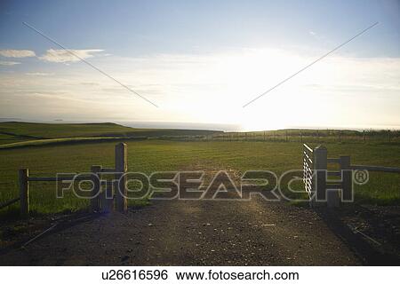 Dirt road in rural field View Large Photo Image Stock Photograph - Dirt road in rural field. Fotosearch