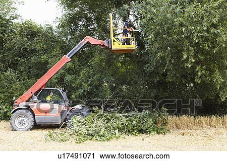 Stock Image - Farmer working on cherry picker. Fotosearch