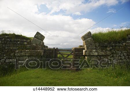 Grass growing on rural stone wall View Large Photo Image Stock Image - Grass growing on rural stone wall. Fotosearch