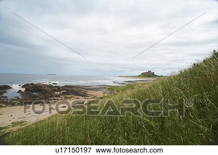 Stock Photo - Grassy hillside overlooking rocky beach. Fotosearch