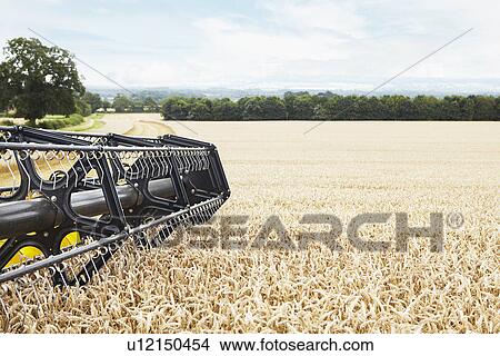 Harvester working in crop field View Large Photo Image Picture - Harvester working in crop field. Fotosearch