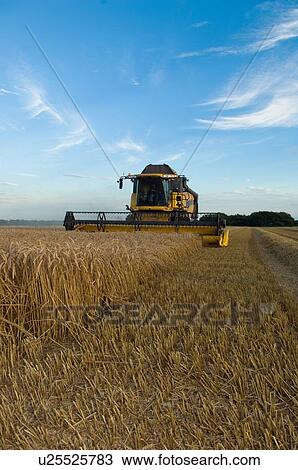 Harvester working in crop field View Large Photo Image Stock Image - Harvester working in crop field. Fotosearch