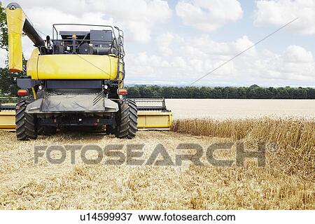 Harvester working in crop field View Large Photo Image Stock Photo - Harvester working in crop field. Fotosearch