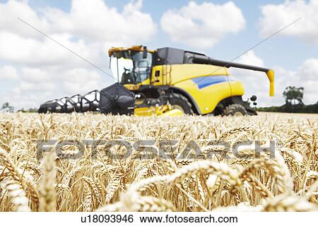 Harvester working in crop field View Large Photo Image Stock Photograph - Harvester working in crop field. Fotosearch