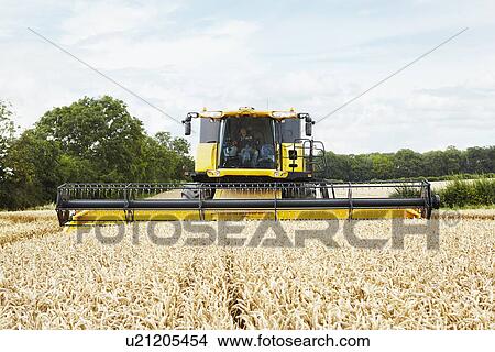 Harvesters working in crop field View Large Photo Image Picture - Harvesters working in crop field. Fotosearch