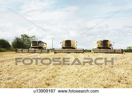 Stock Photo - Harvesters working in crop field. Fotosearch
