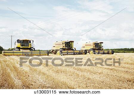 Harvesters working in crop field View Large Photo Image Stock Photography - Harvesters working in crop field. Fotosearch